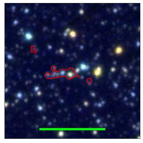 0860_081.1_contour_z