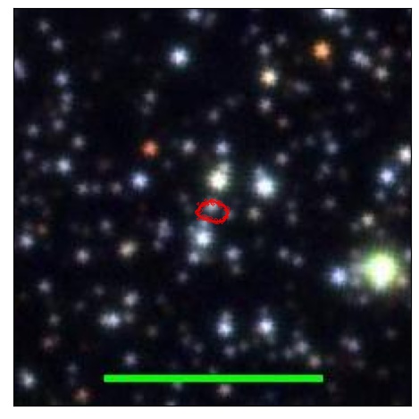 0861_042.0_contour_r