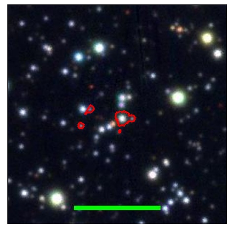 0862_005.0_contour_r