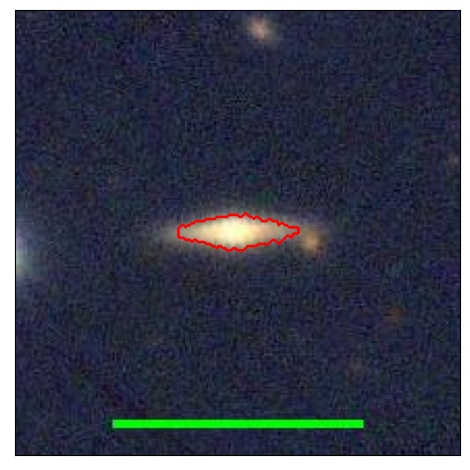 0877_050.0_contour_y