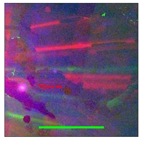 0877_074.0_contour_y