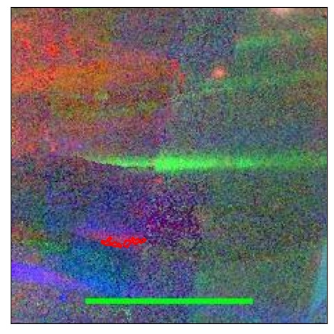 0890_036.0_contour_g