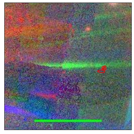 0890_036.0_contour_i