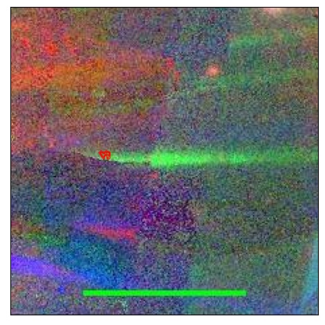 0890_036.0_contour_y