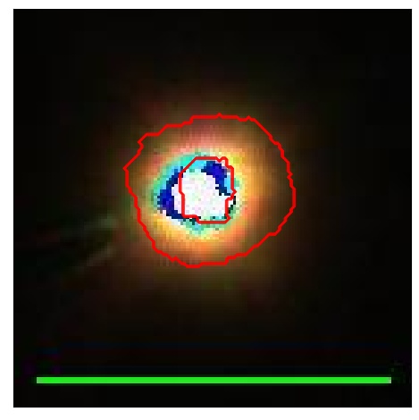 0895_020.0_contour_g