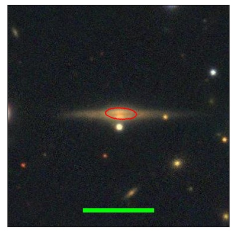 0900_020.0_contour_r