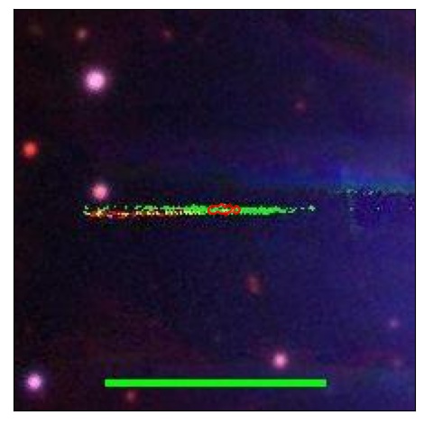 0909_012.0_contour_i