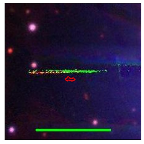 0909_012.0_contour_z