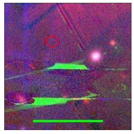 0921_056.0_contour_g