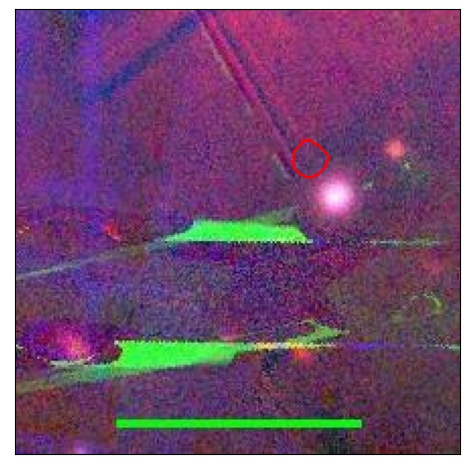 0921_056.0_contour_z