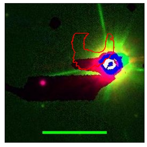 0939_012.0_contour_i