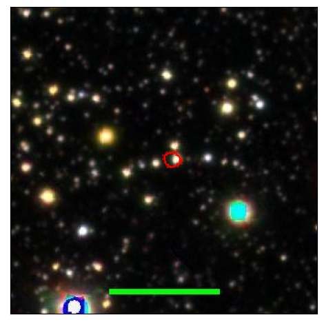 0943_041.0_contour_g