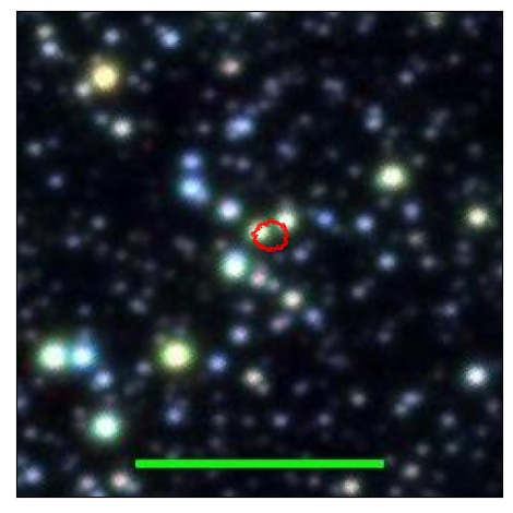 0946_022.0_contour_g