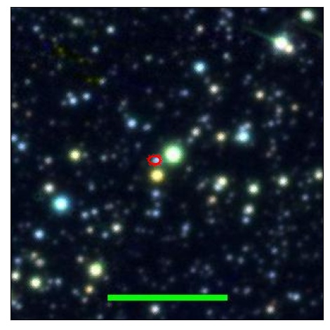 0946_041.0_contour_r