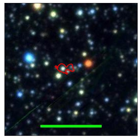 0946_082.1_contour_r