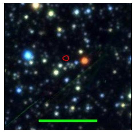 0946_082.1_contour_y