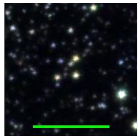 0947_028.1_contour_i