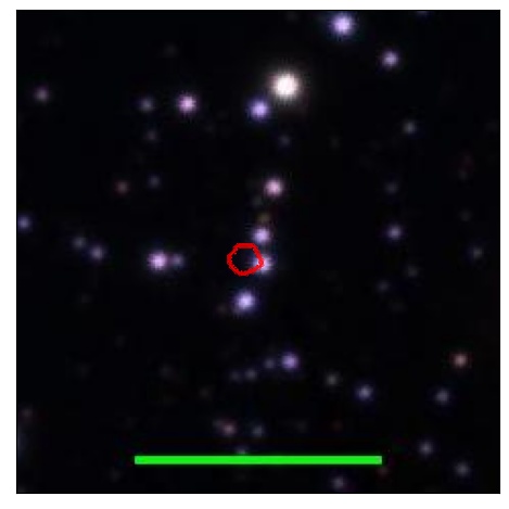 0948_013.0_contour_y