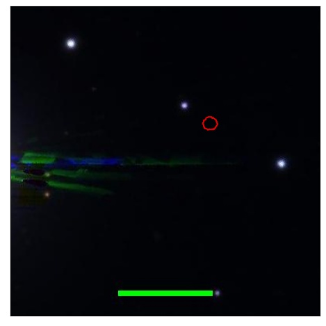 0953_013.0_contour_g