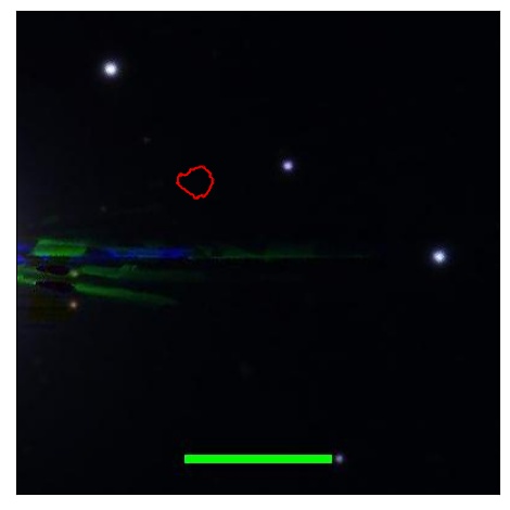 0953_013.0_contour_i