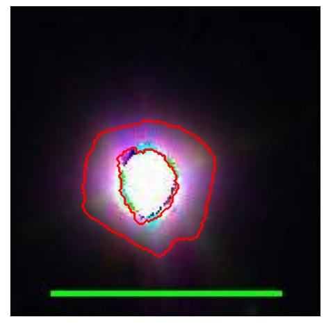 0956_019.0_contour_r