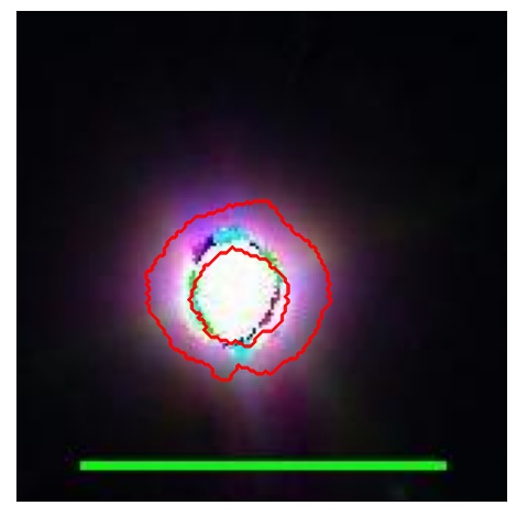 0956_019.0_contour_y