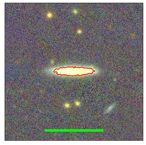 0969_081.0_contour_y