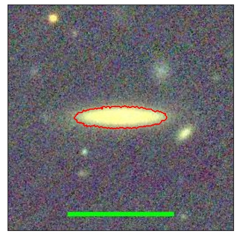 0971_008.0_contour_r