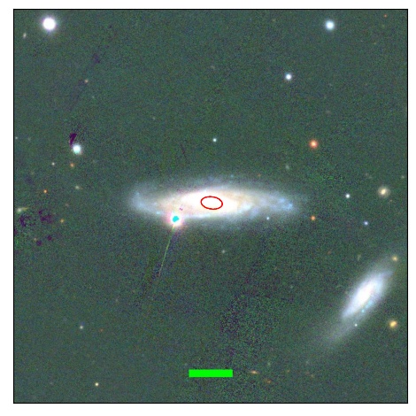 0976_052.0_contour_g