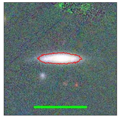 0978_031.0_contour_g