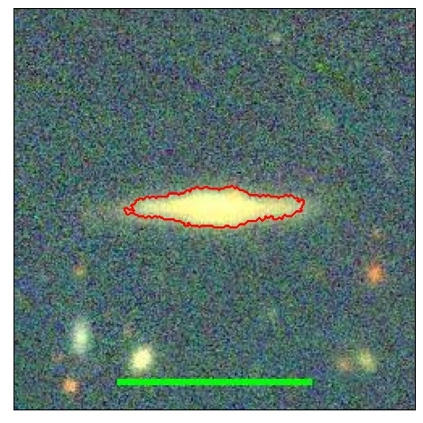 0981_010.0_contour_r