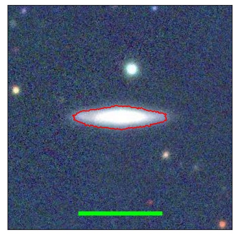 0981_020.0_contour_r