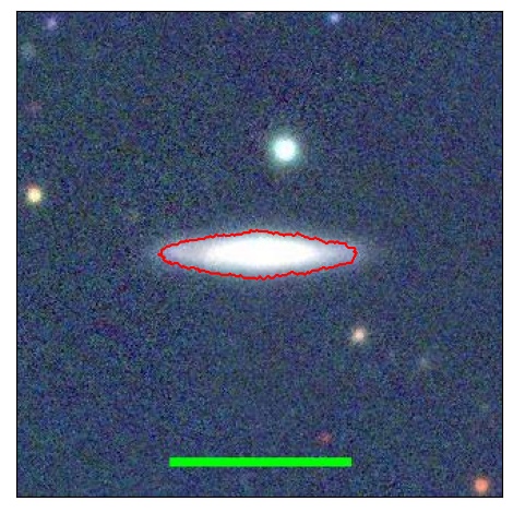 0981_020.0_contour_z