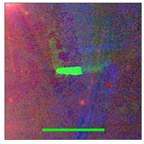 0983_045.0_contour_g