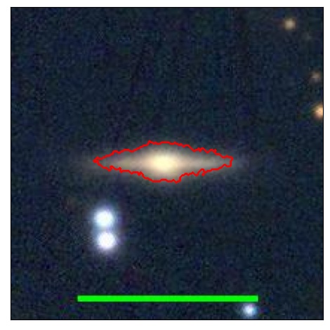 0988_031.0_contour_y