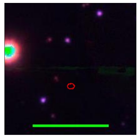 0995_036.0_contour_i