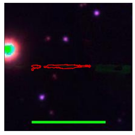 0995_036.0_contour_r