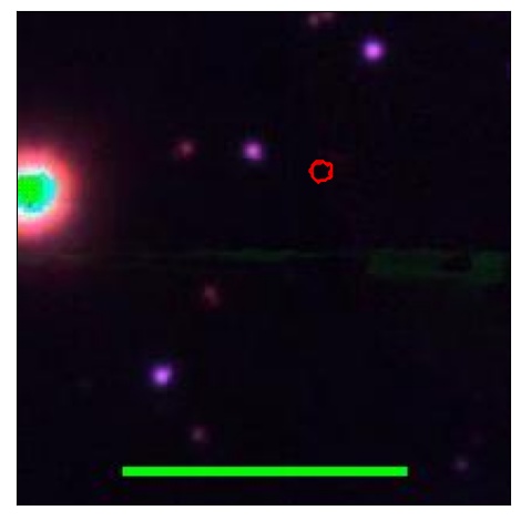 0995_036.0_contour_y