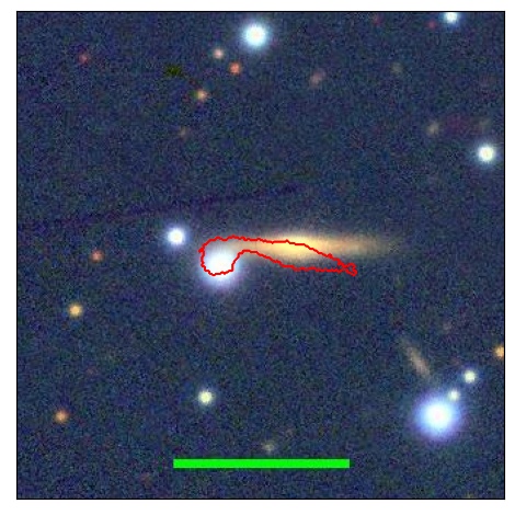 0998_008.1_contour_y