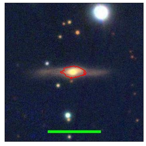 0998_009.0_contour_y