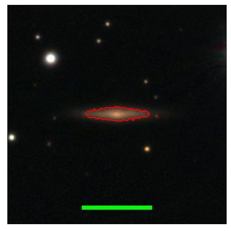 0998_021.0_contour_y