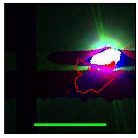 1013_052.0_contour_g