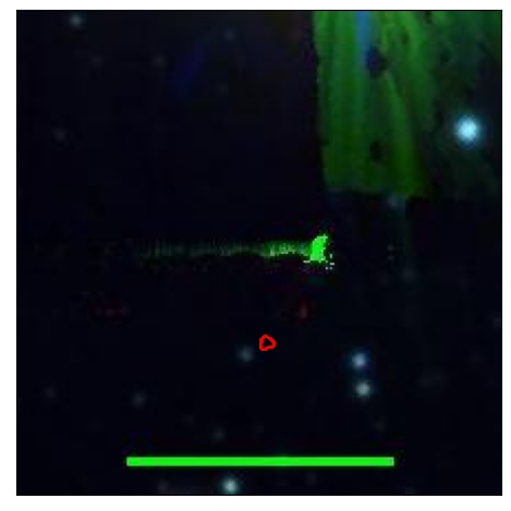 1029_011.0_contour_g