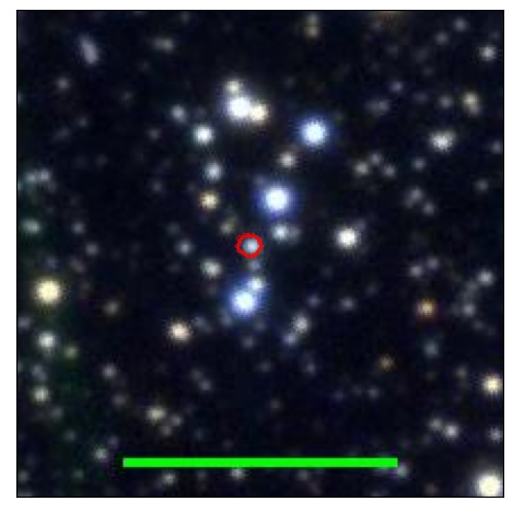 1031_002.1_contour_r