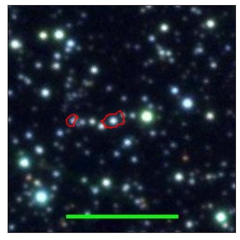 1031_006.0_contour_r