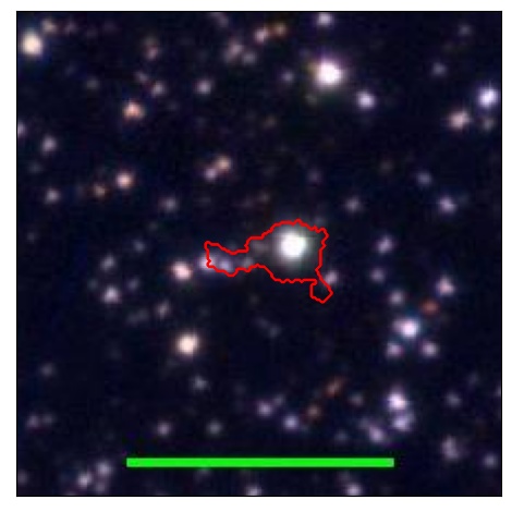 1031_007.0_contour_y