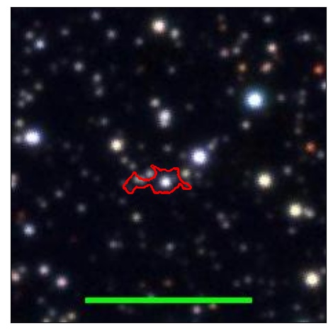 1031_008.0_contour_r