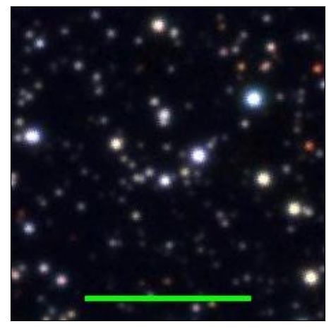 1031_008.0_contour_y