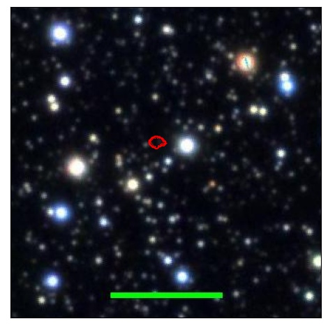 1031_011.0_contour_g