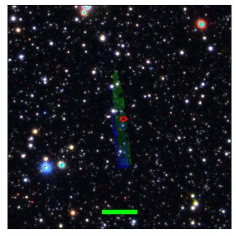 1031_036.0_contour_g